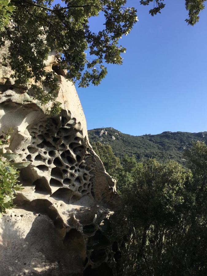 La Casa Di Sara Lägenhet Nuoro  Exteriör bild